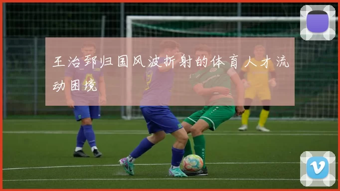 王治郅归国风波折射的体育人才流动困境