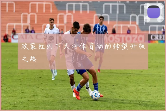 政策红利下天河体育场的转型升级之路