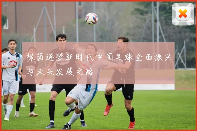 绿茵逐梦新时代中国足球全面振兴与未来发展之路