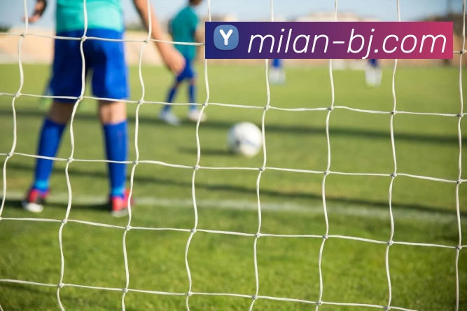 米兰milan服务体系
